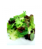 Salatmix